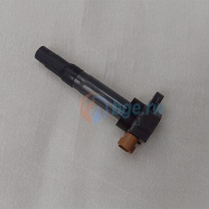 COIL ASSY, IGNITION