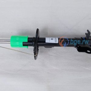 STRUT ASSEMBLY LH